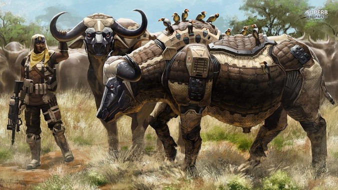 金融的本质是经营风险